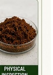Physical inspection of cocopeat in a dish
