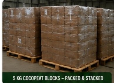 5 kg cocopeat blocks packed and stacked on pallets