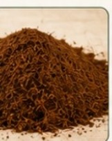 Loose cocopeat coir pith